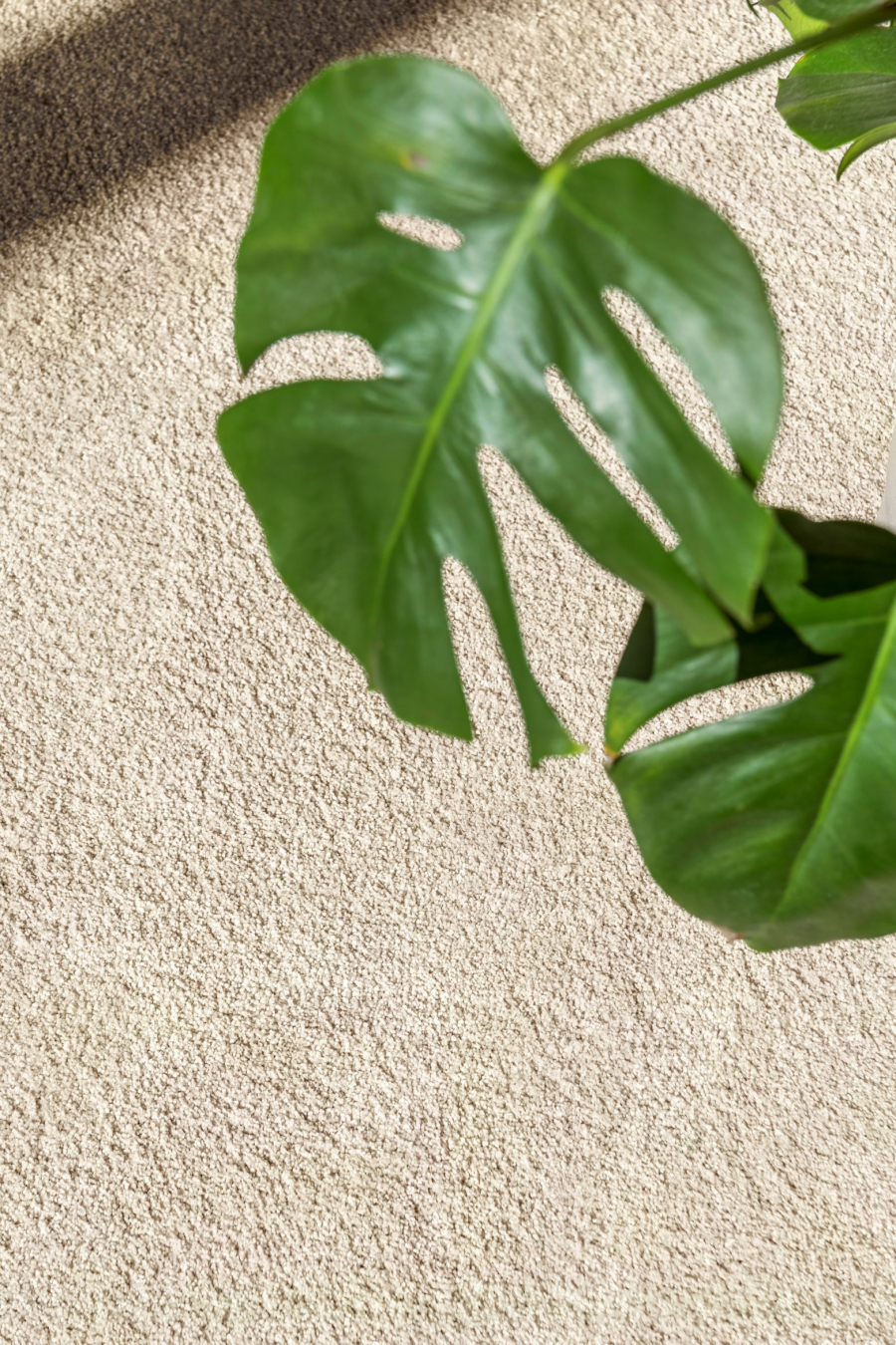 detalle alfombra romeo 33