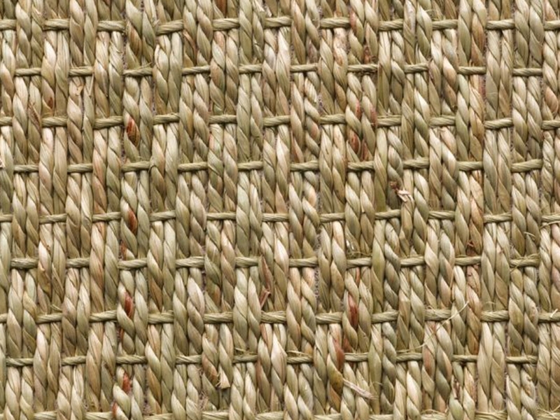 alfombra de algas naturales